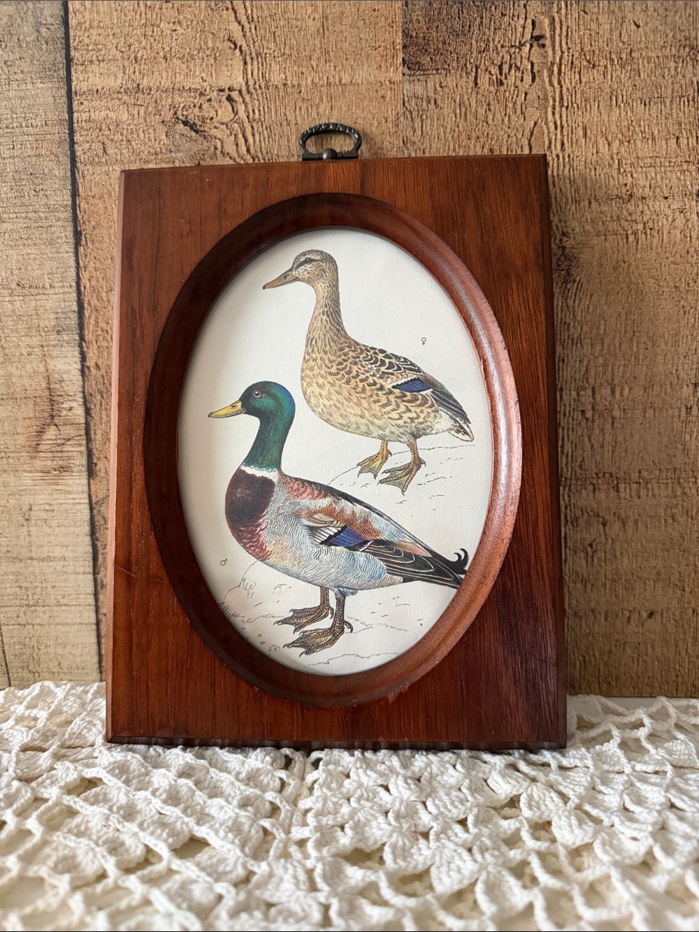 Vintage Wood Oval Framed Mallard Duck Print - Brown Frame